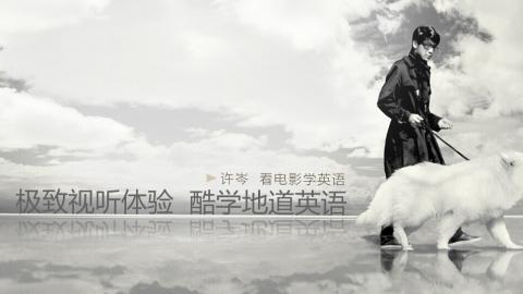 默认教学计划 